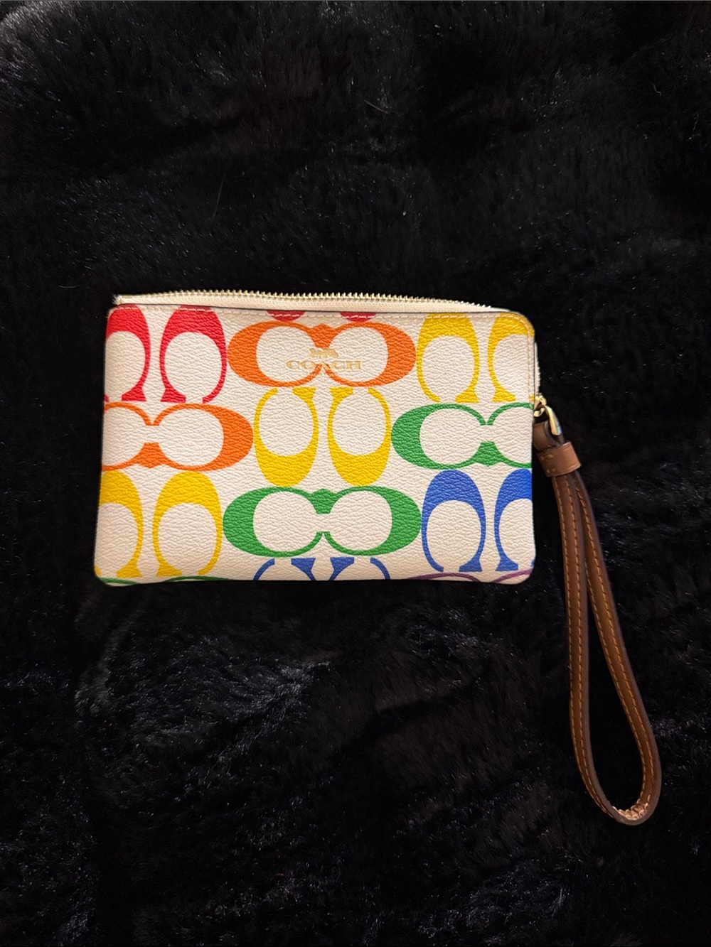 Coach Rainbow Signature Canvas Wristlet- Red Orange Yellow Green Blue